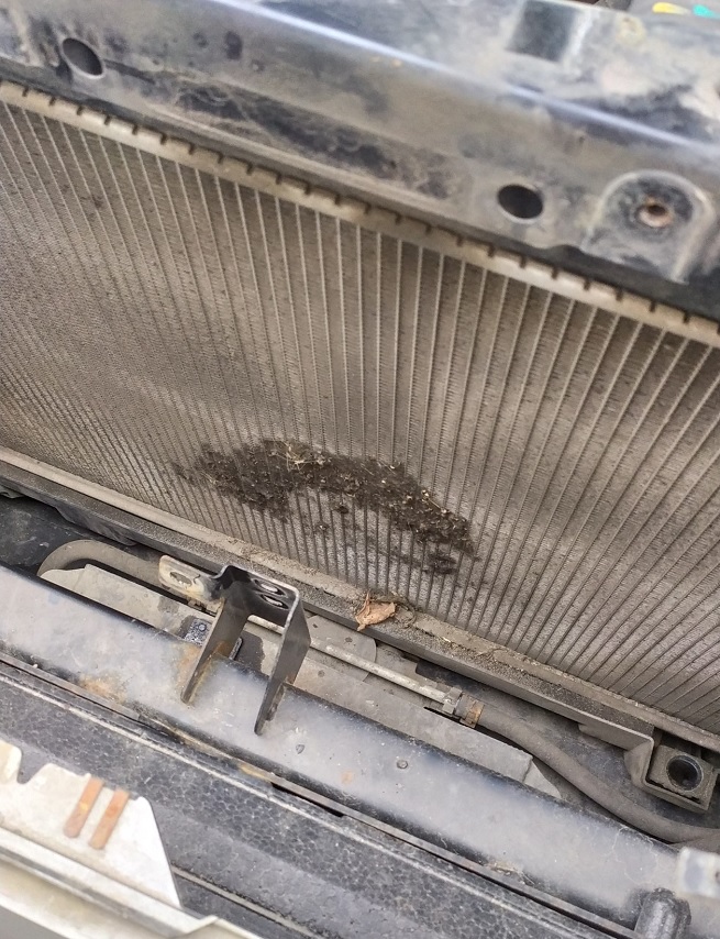 Засоренный радиатор