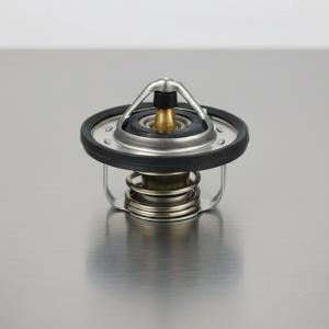 Новый термостат готов к установке