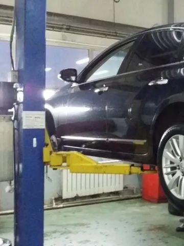 теана в работе